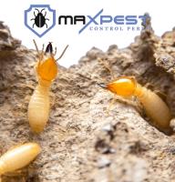 MAX Termite Treatment Perth image 2